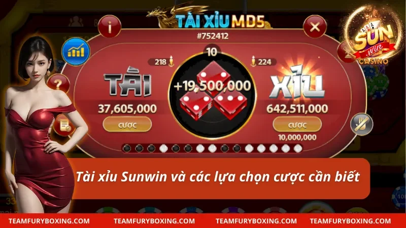 Tài Xỉu MD5 Sunwin: Cực Phẩm Cá Cược Chất Lượng 7 Tài xỉu MD5 và những phân loại cược quan trọng